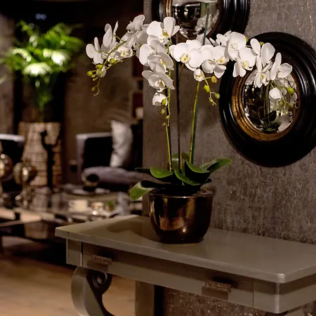 The New Zeybek ホテル 3*