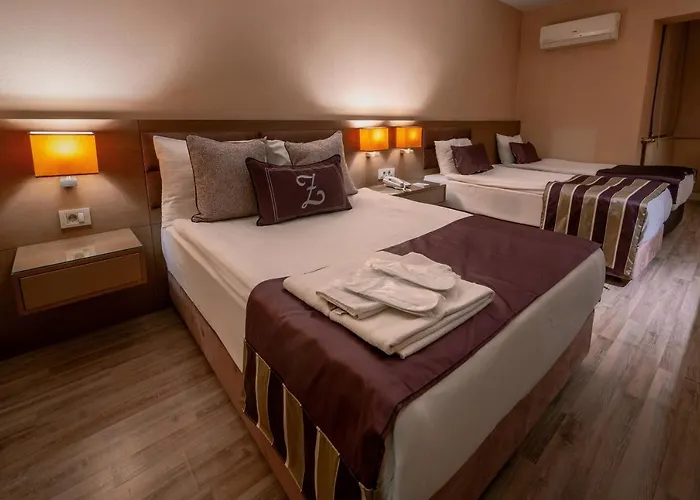 Hotel The New Zeybek 3*