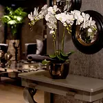 The New Zeybek Hotel 3*