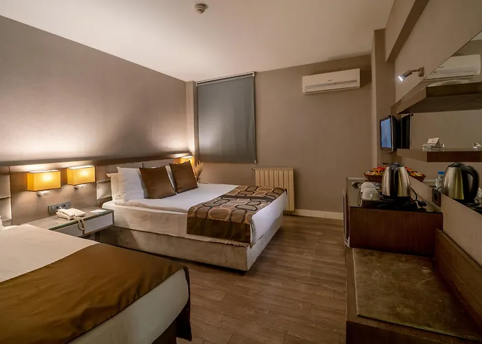 Otel The New Zeybek 3*