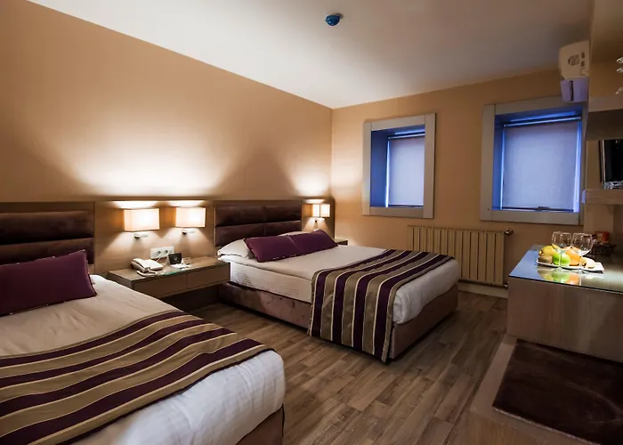 The New Zeybek Hotel