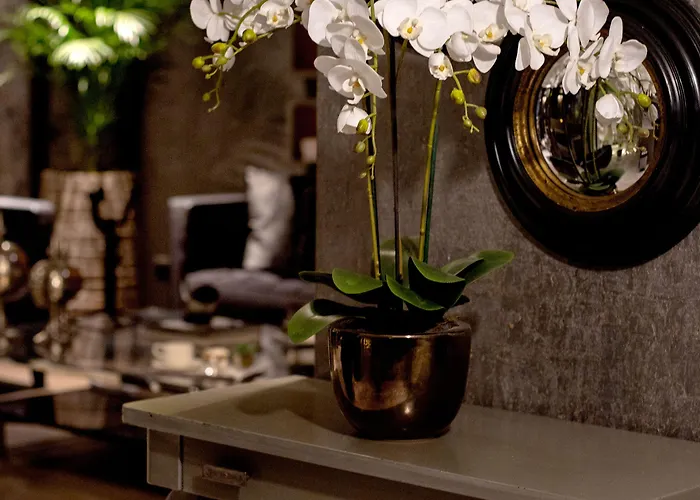 The New Zeybek Hotel 3*