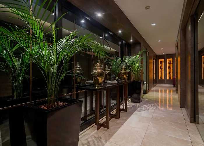 The New Zeybek Hotel 3*